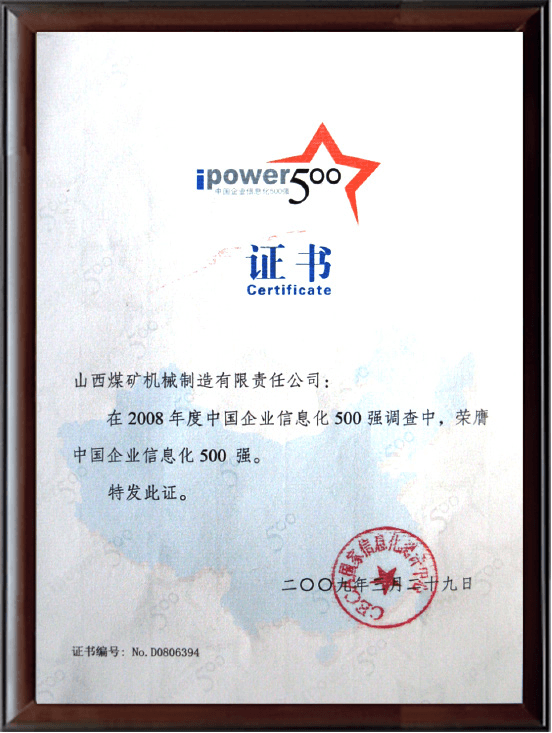 中国企业信息化500强